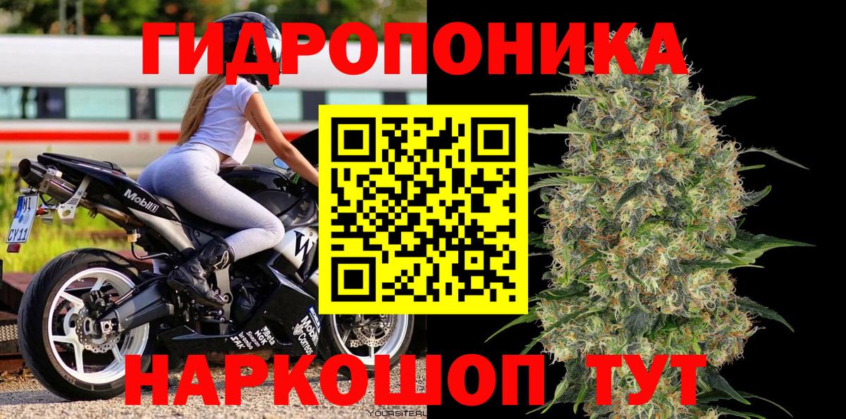 Шишки марихуана VHQ Баксан